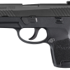 SIG SAUER P320 SUB-COMPACT